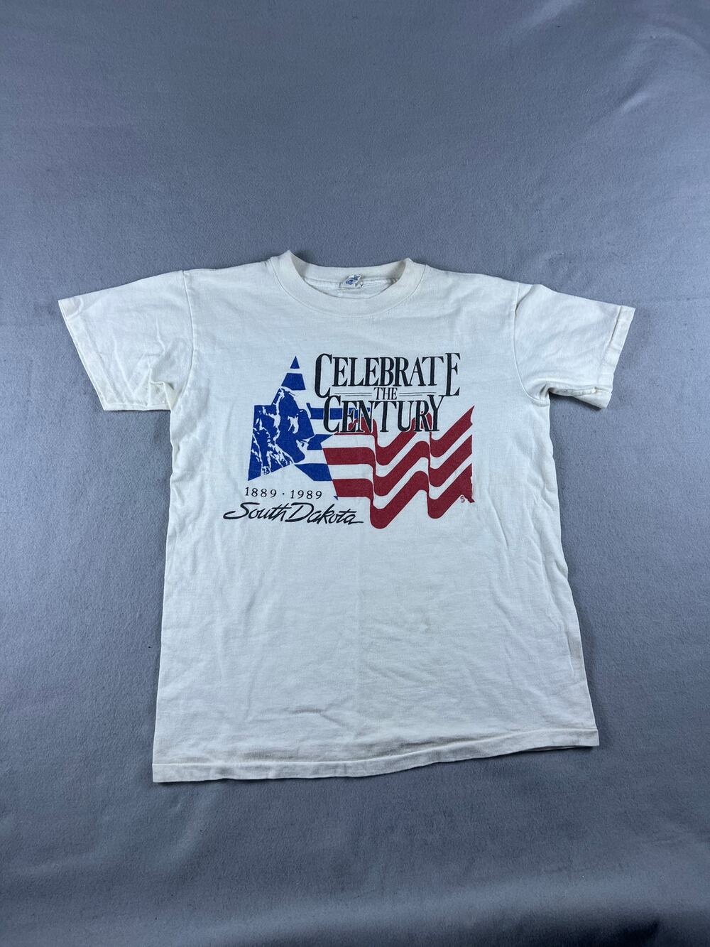 Vintage 80s Champion T-Shirt Mens M White South Dakota Centennial Graphics USA